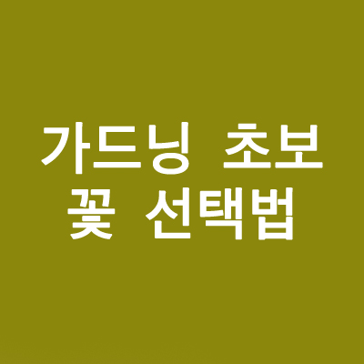 가드닝 초보 꽃 선택법