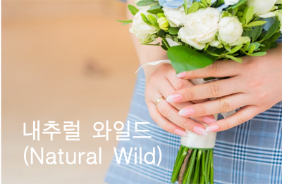 내추럴 와일드(Natural Wild)