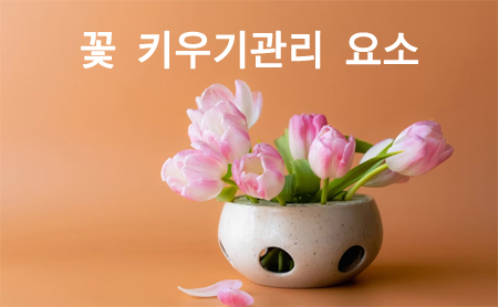 꽃 키우기 관리 요소