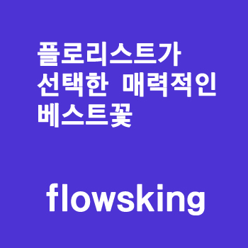 플로리스트가 선택한 매력적인 베스트꽃