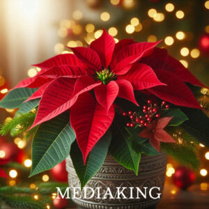 MEDIAKING(미디어킹)
