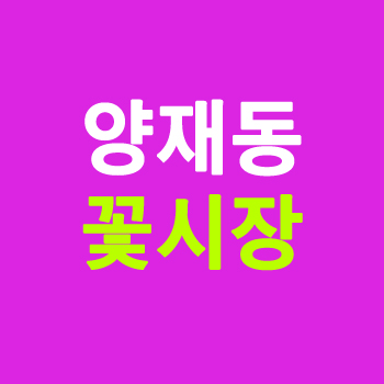 양재동 꽃시장 방문 가이드 (운영시간, 주차, 꽃 구입 팁 총정리)