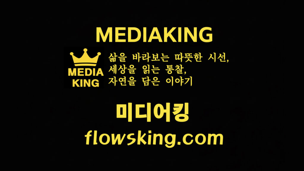 MEDIAKING