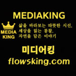 MEDIAKING