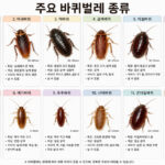 바퀴벌레 종류별 특징과 퇴치 방법