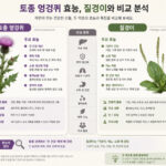 토종 엉겅퀴 효능, 질경이와 비교 분석