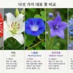 아마릴리스, 백합, 나팔꽃, 도라지꽃, 아가판서스