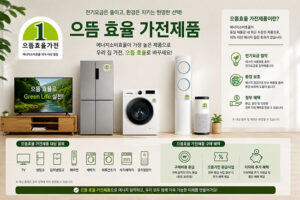 으뜸 효율 가전 제품