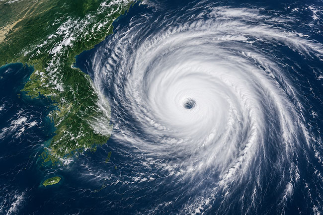 typhoon