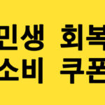 민생회복 소비쿠폰