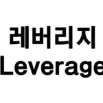 레버리지(Leverage)