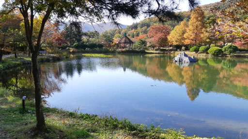 단풍